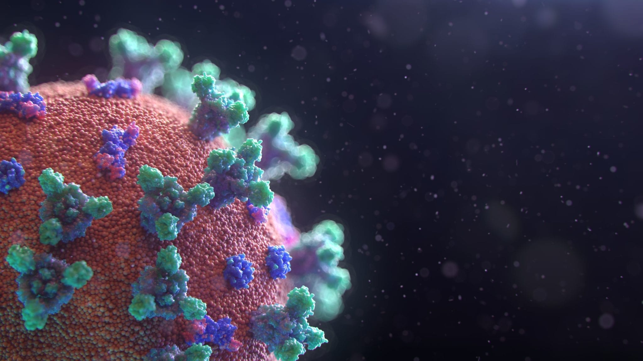 Magnified view of Covid-19 spike proteins