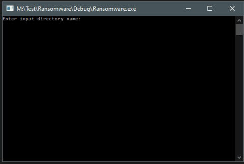 Figure 10.0 Running the ransomware