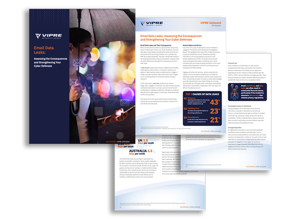 Email Data Leaks White Paper