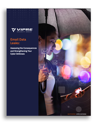 front cover of Email Data Leaks White Paper