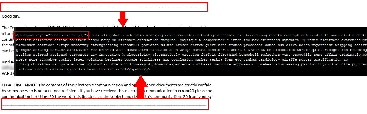 Figure 3.0 The small font random words which appears to be a line