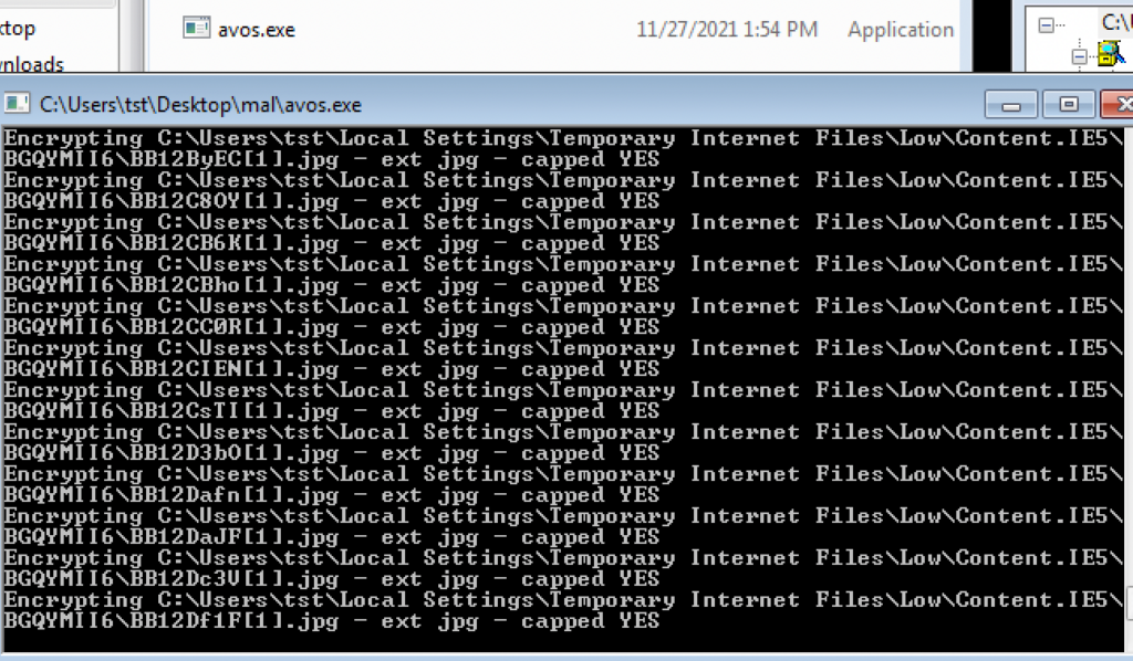 Figure 7.0: AvosLocker actions console