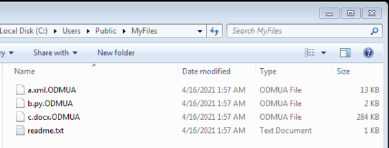 Fig 9. User shared folder infected state