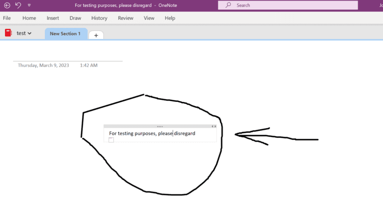 Figure 1.0 Example of how taking notes in Microsoft OneNote