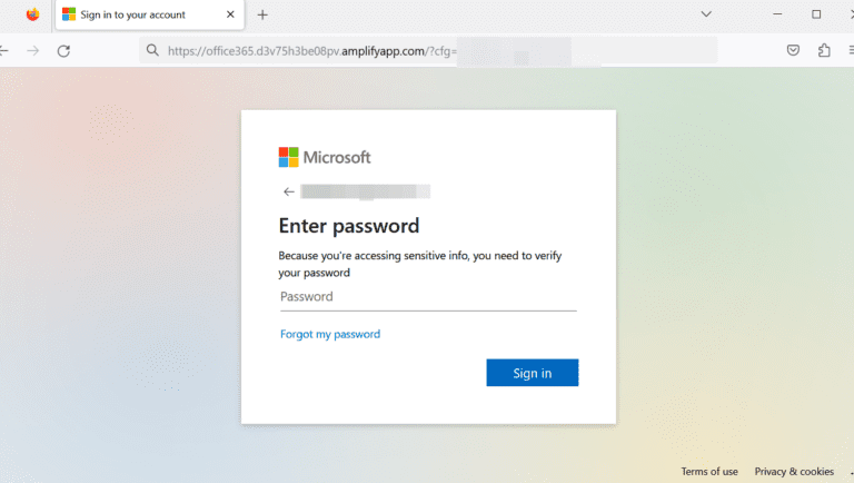 Figure 7.0 The actual phishing website