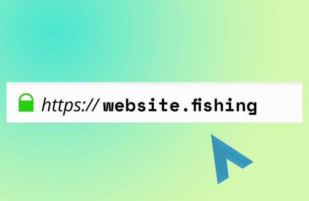 website url with the top level domain fishing in the address bar of a browser