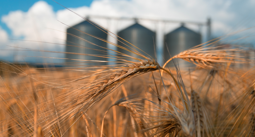 VIPRE’s integrated cybersecurity breaks down silos between threat research, training, and protection—delivering smarter, faster, unified defenses